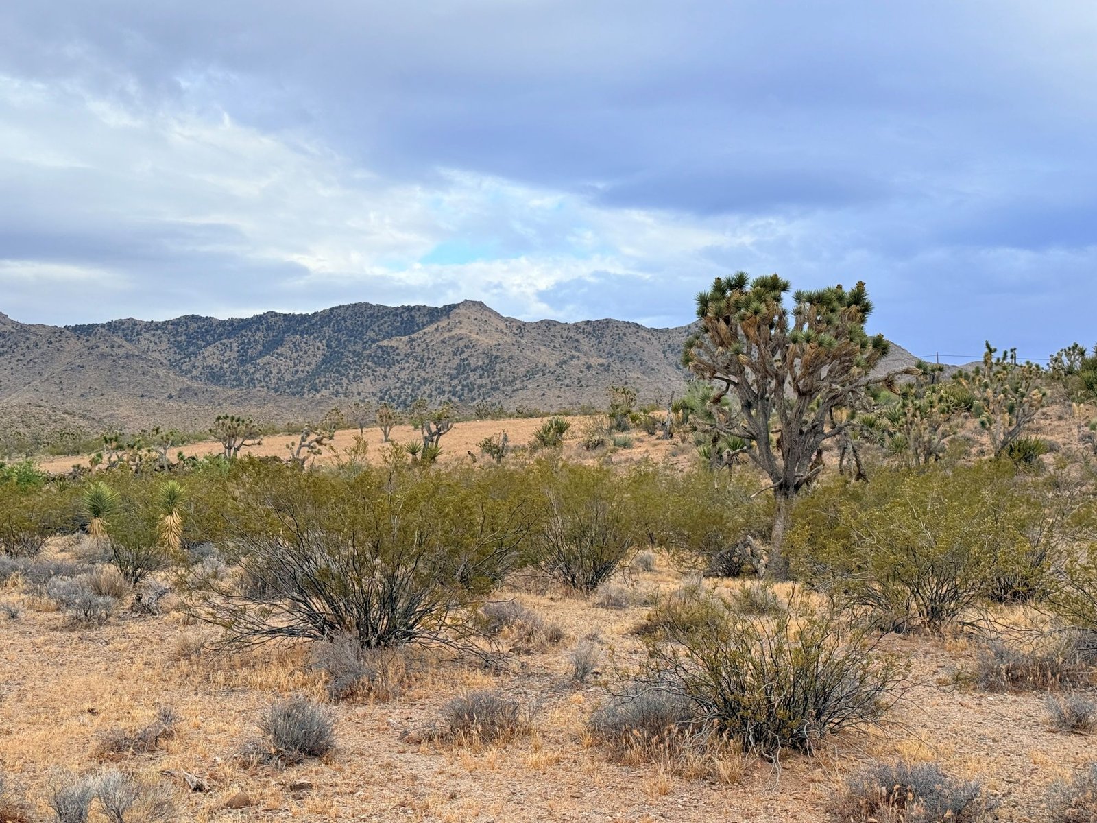 1.06 acre land for sale in Dolan Springs, Arizona : Build A Home Near Beautiful Hiking Trails | $195/mo in AZ