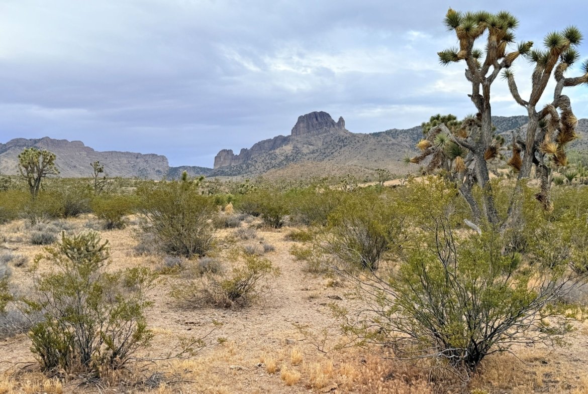 1.06 acre land for sale in Dolan Springs, Arizona : Build A Home Near Beautiful Hiking Trails | $195/mo in AZ