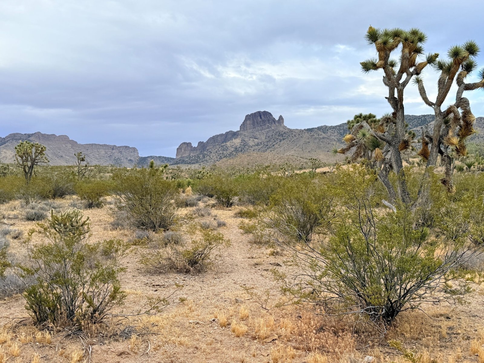 1.06 acre land for sale in Dolan Springs, Arizona : Build A Home Near Beautiful Hiking Trails | $195/mo in AZ