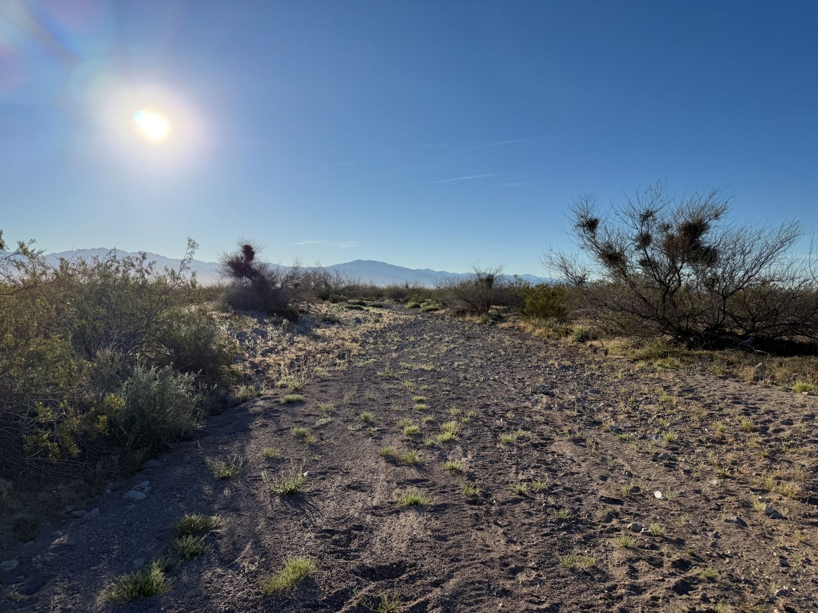 Your Own Dirt Bike Playground—2.33 Acres Land for Sale in Golden Valley, Arizona for Only $99/month