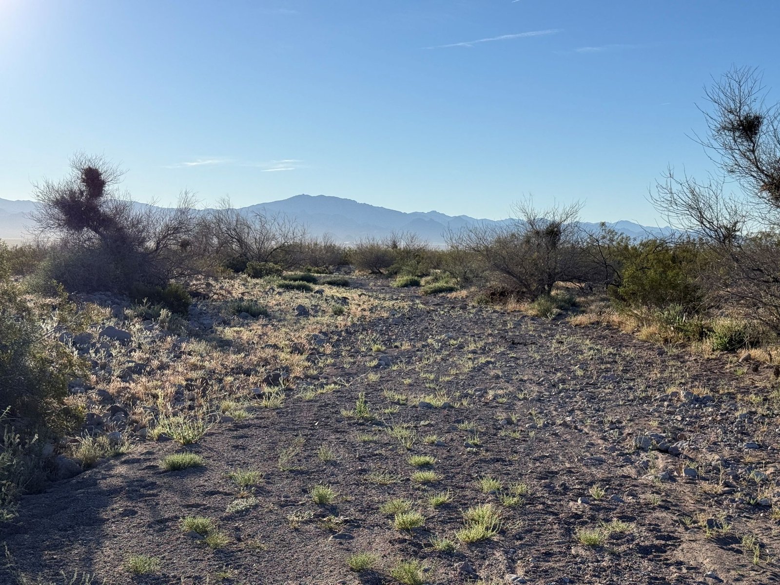 Your Own Dirt Bike Playground—2.33 Acres Land for Sale in Golden Valley, Arizona for Only $99/month