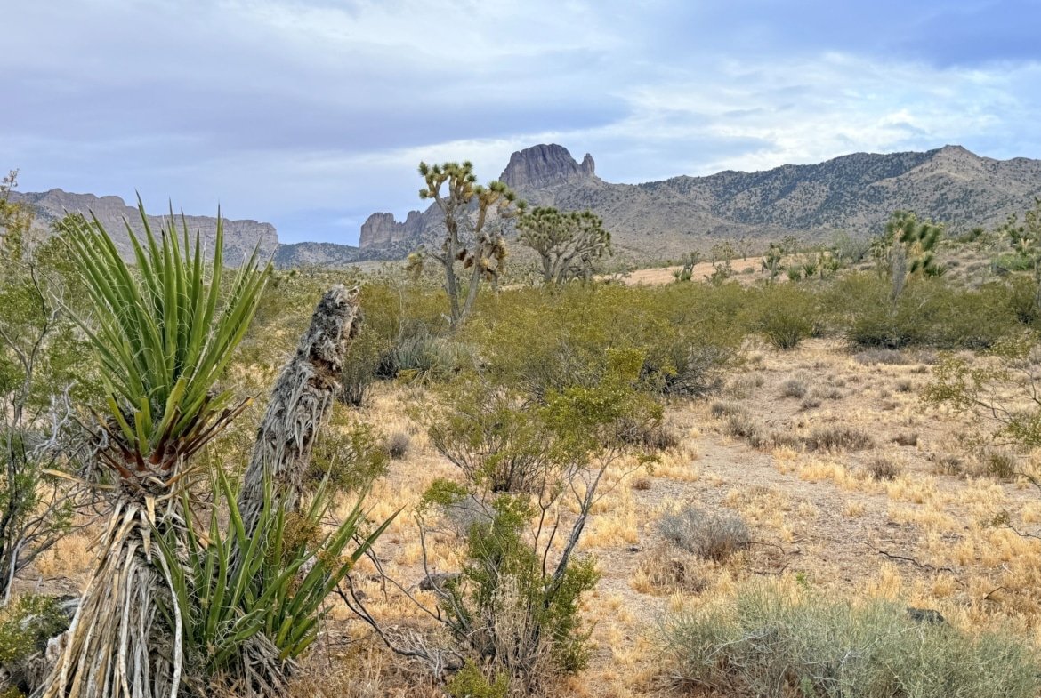 1.06 acre land for sale in Dolan Springs, Arizona : Build A Home Near Beautiful Hiking Trails | $195/mo in AZ