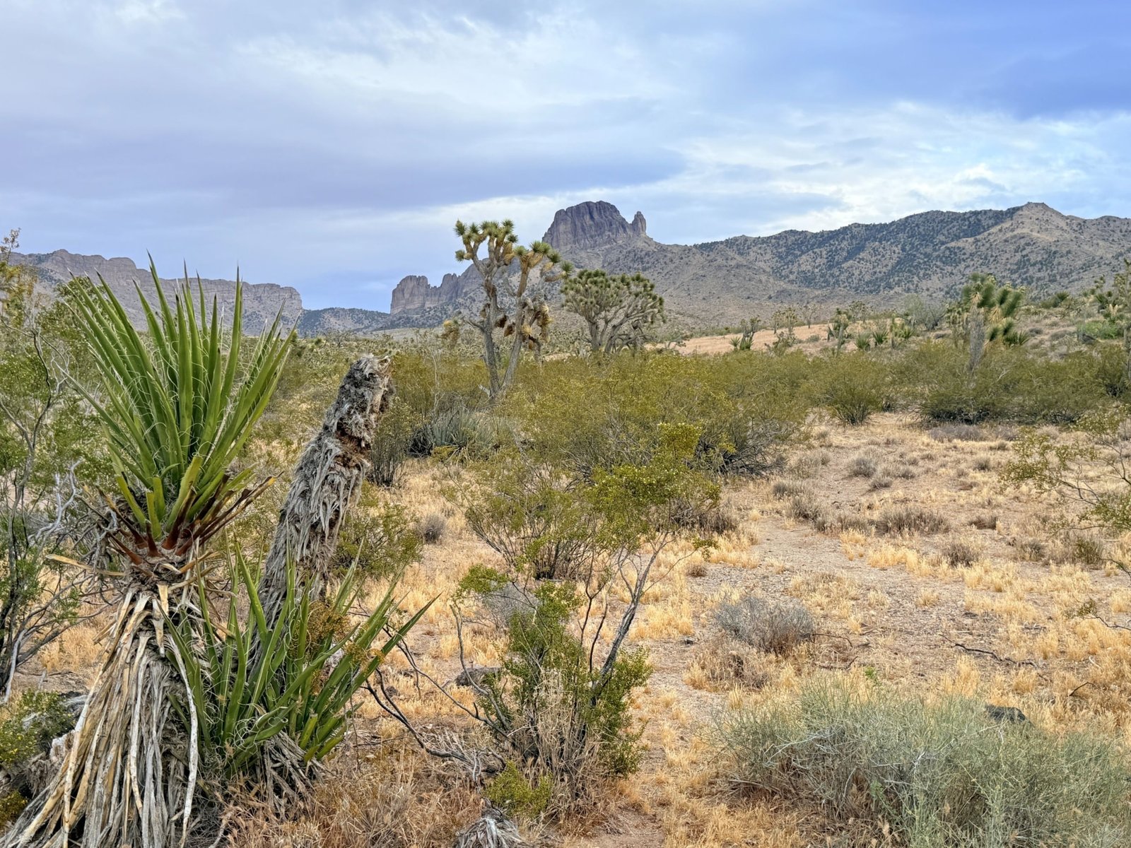 1.06 acre land for sale in Dolan Springs, Arizona : Build A Home Near Beautiful Hiking Trails | $195/mo in AZ