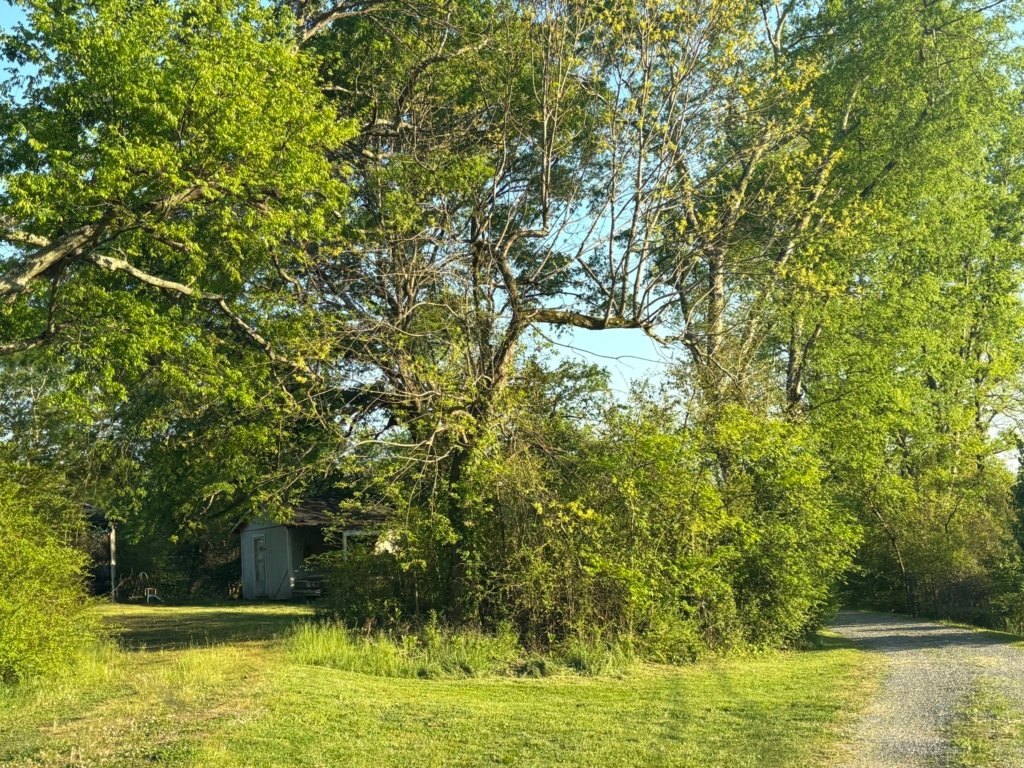 0.73 ACRES OF PRIME TENNESSEE LAND FOR SALE ON HWY 108 (WHITWELL, TN)