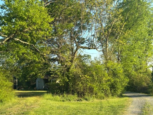 0.73 ACRES OF PRIME TENNESSEE LAND FOR SALE, PERFECT FOR INVESTMENT, BUILDING, OR MOBILE HOMES, ALSO WITH SELLER FINANCING