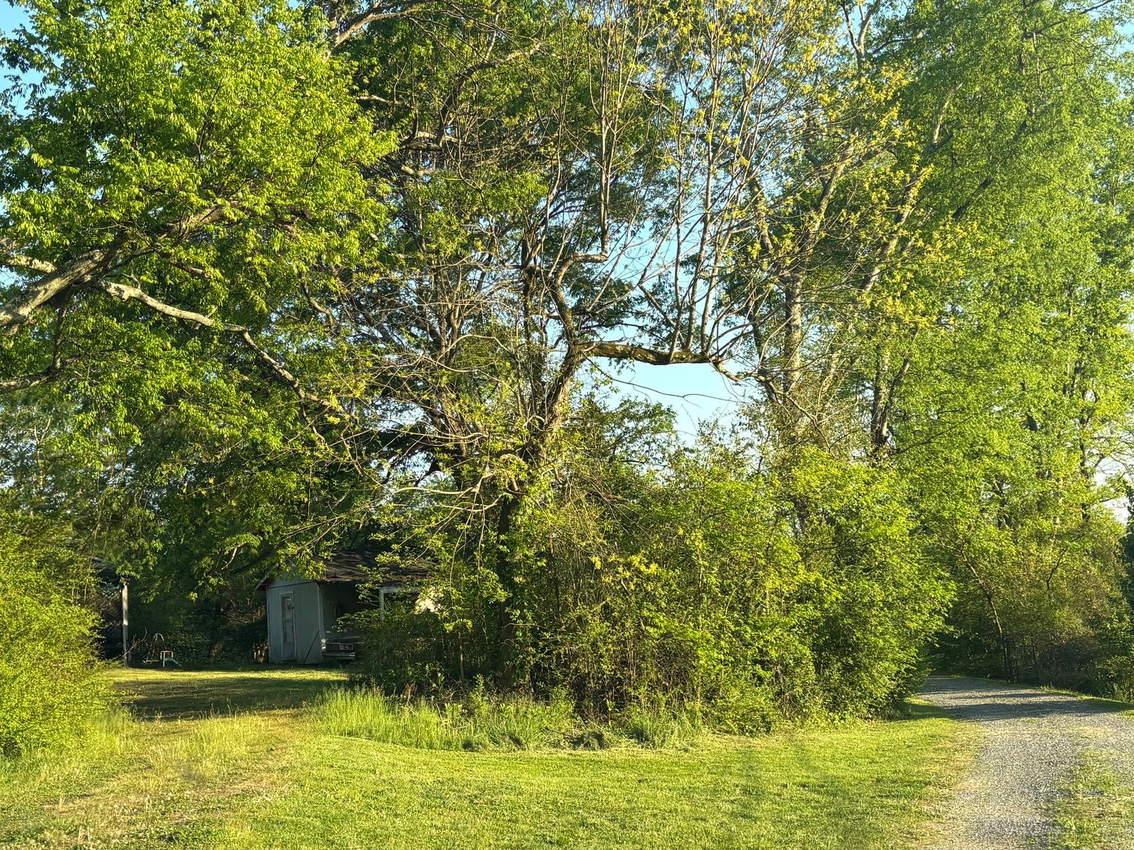 0.73 ACRES OF PRIME TENNESSEE LAND FOR SALE, PERFECT FOR INVESTMENT, BUILDING, OR MOBILE HOMES, ALSO WITH SELLER FINANCING
