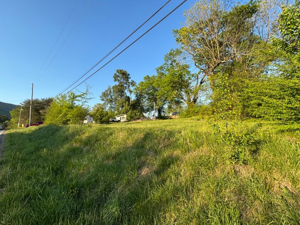 0.73 acre flat building lot Highway 108 Tennessee - photo 9