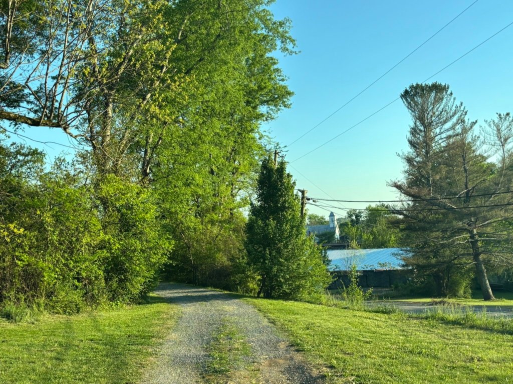 0.73 acre buildable land for sale in Whitwell, Tennessee - photo 1