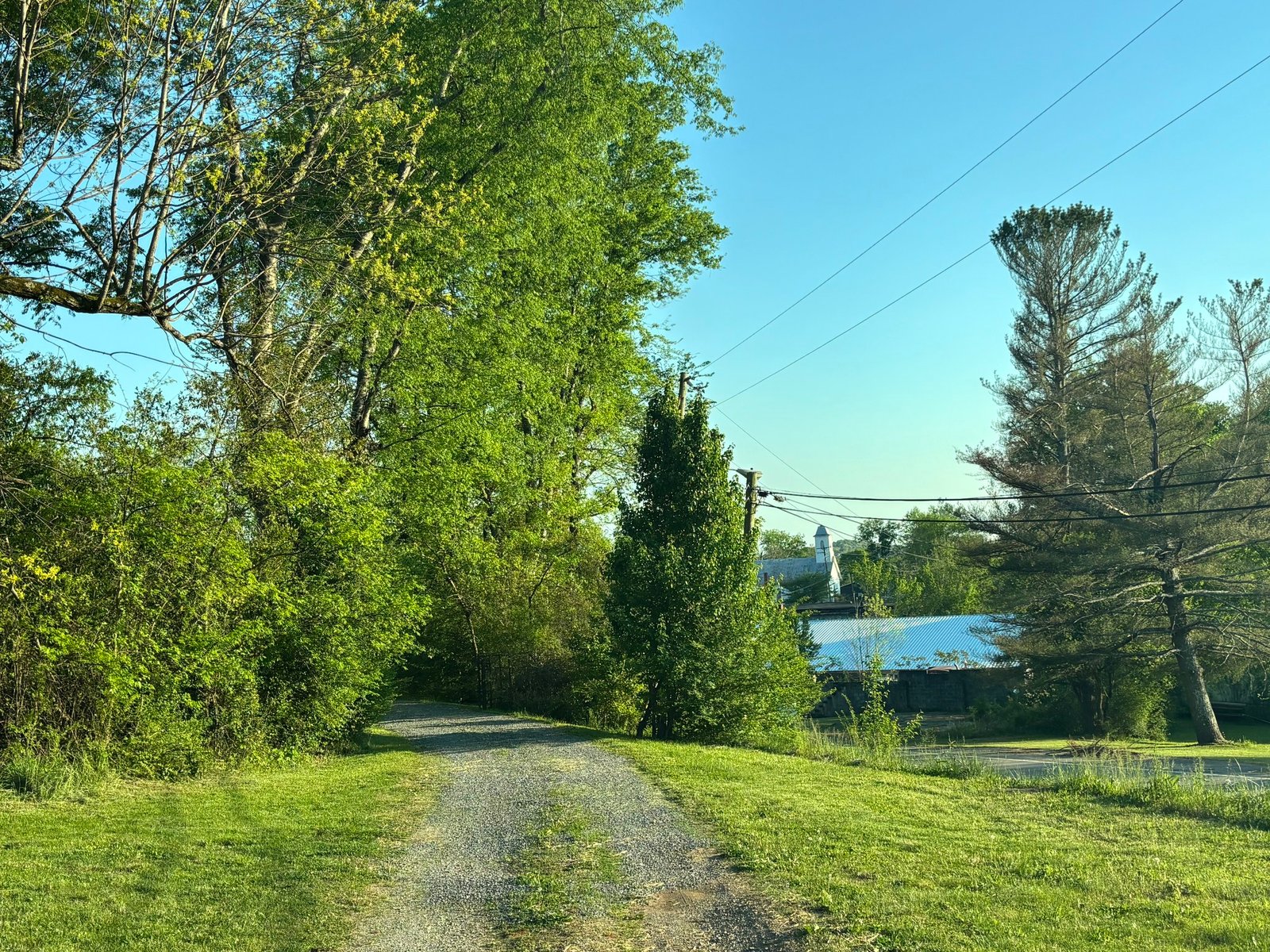 0.73 ACRES OF PRIME TENNESSEE LAND FOR SALE ON HWY 108 (WHITWELL, TN)