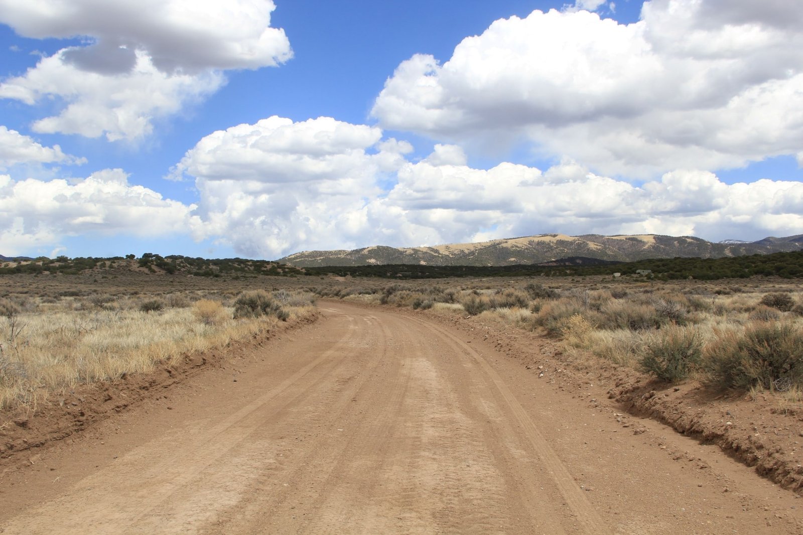 Build Your Cabin Here on 5 Acres in Fort Garland, CO