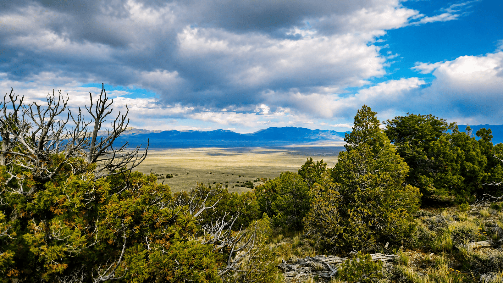 Use It Now • Expand Later • 2 Acres Near Murdock Mountain NV $119/month