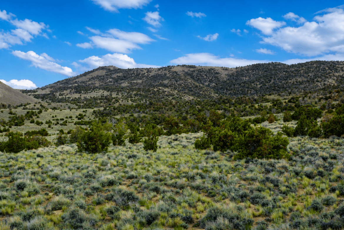 🌄 6+ Acres Near Murdock Mountain / $299/Month!