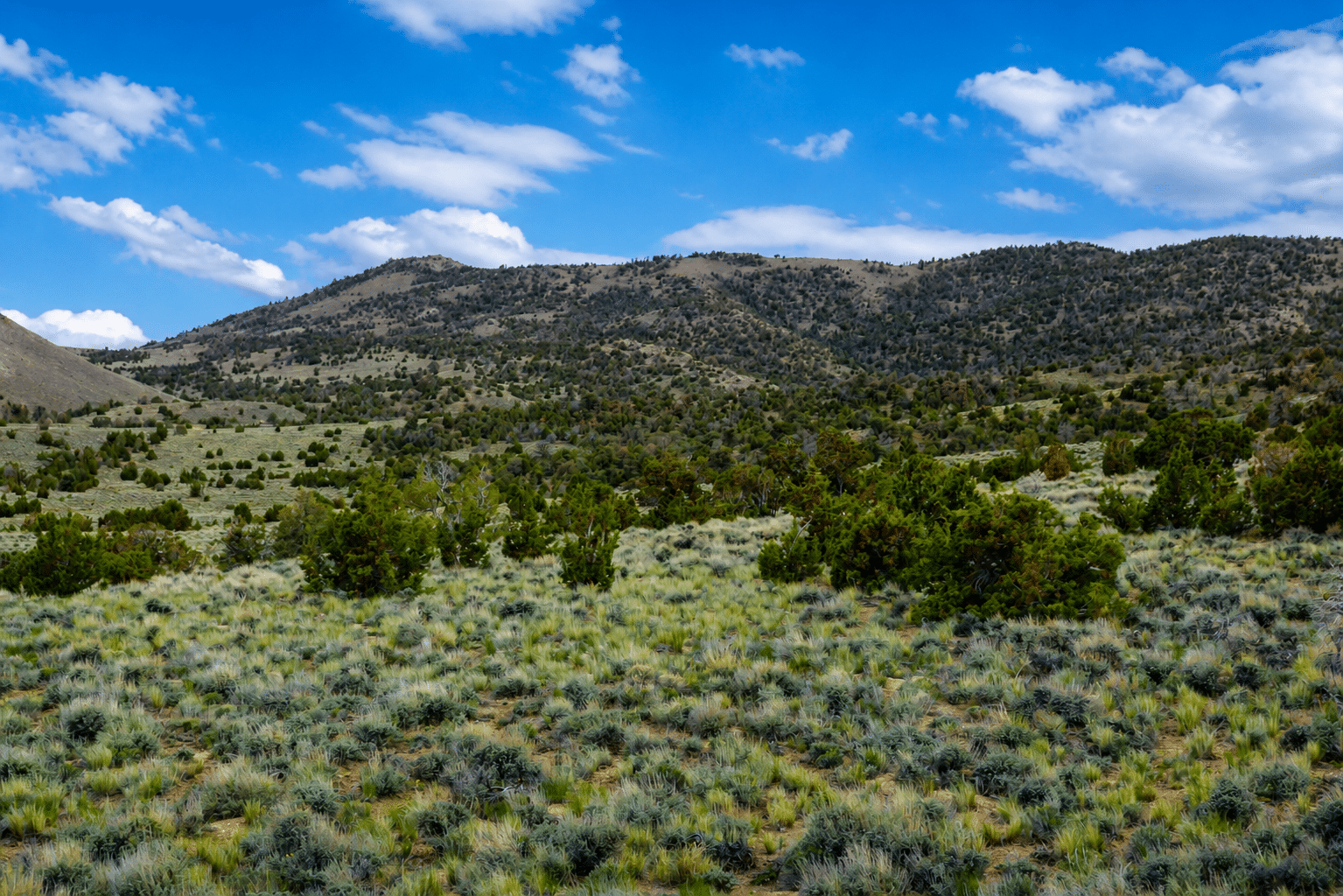 ChatGPT Image May 4, 2026, 09_15_59 PM š 6+ Acres Near Murdock Mountain / $299/Month!