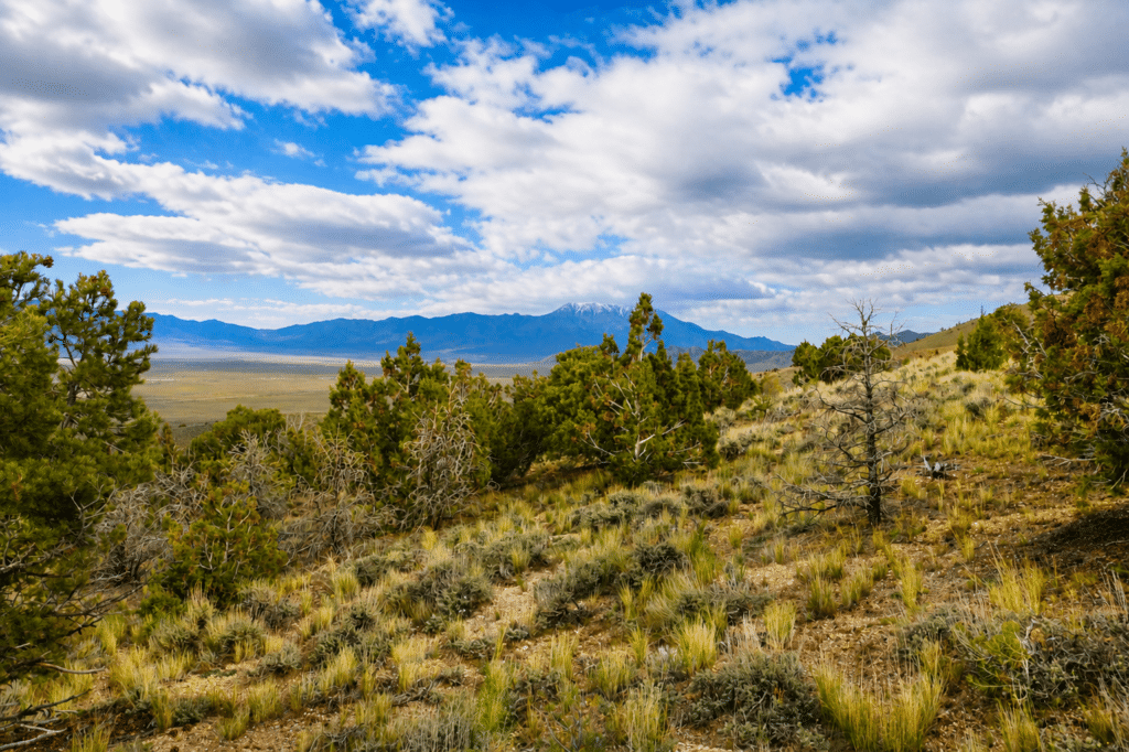 Rural land for sale near Elko Nevada: 2 acres, RV and mobile home allowed - photo 4