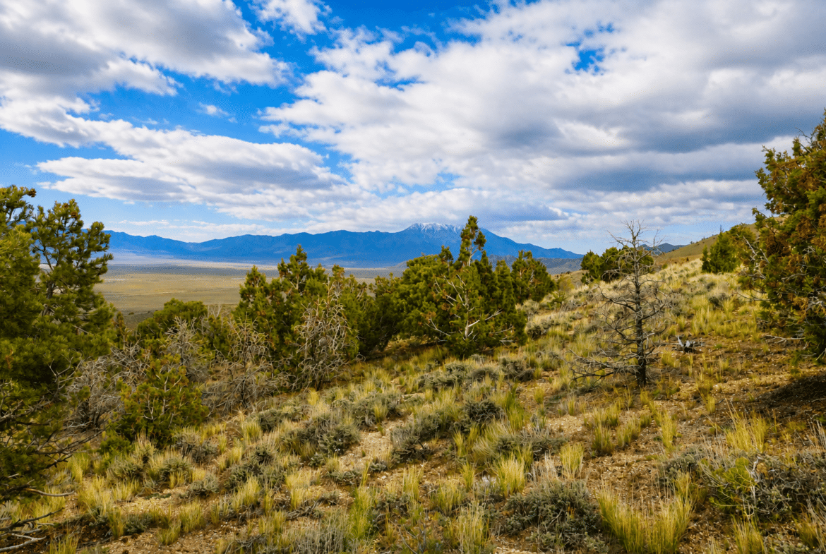 Use It Now • Expand Later • 2 Acres Near Murdock Mountain NV $119/month