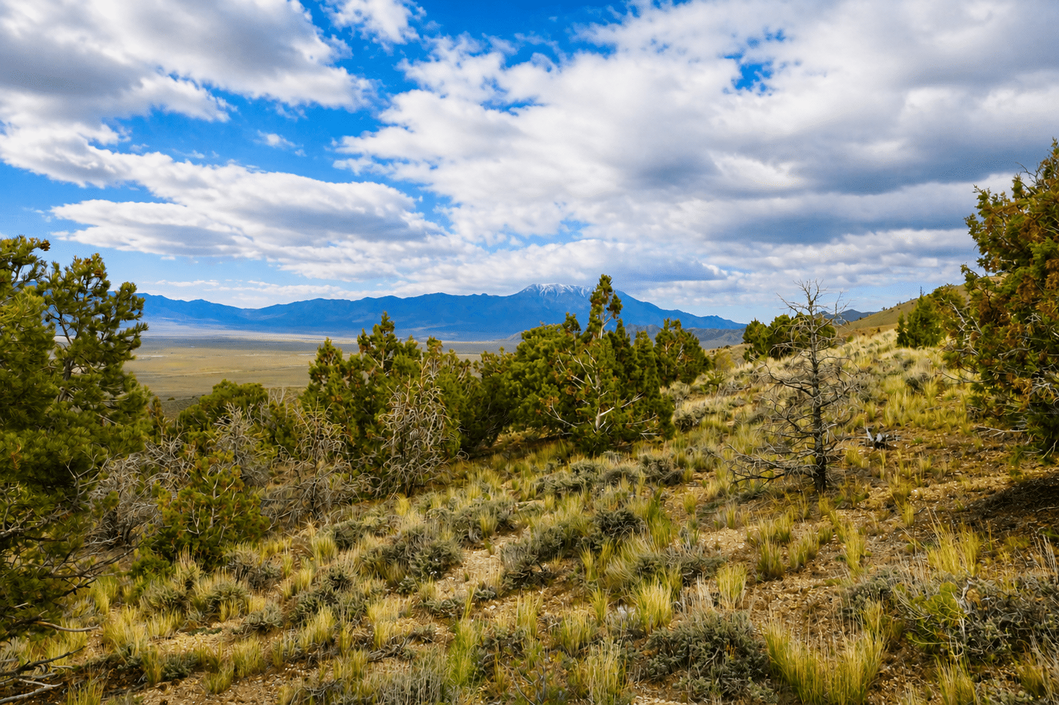 $117/Month to Own! Camp Now. Build Later. 2.27 Acres Near Murdock Mountain, NV