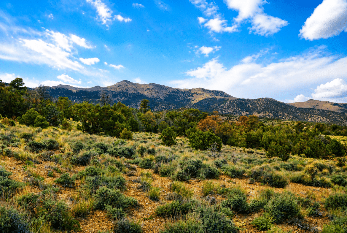 $117/Month to Own! Camp Now. Build Later. 2.27 Acres Near Murdock Mountain, NV
