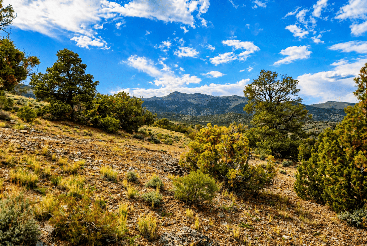 🌄 6+ Acres Near Murdock Mountain / $299/Month!