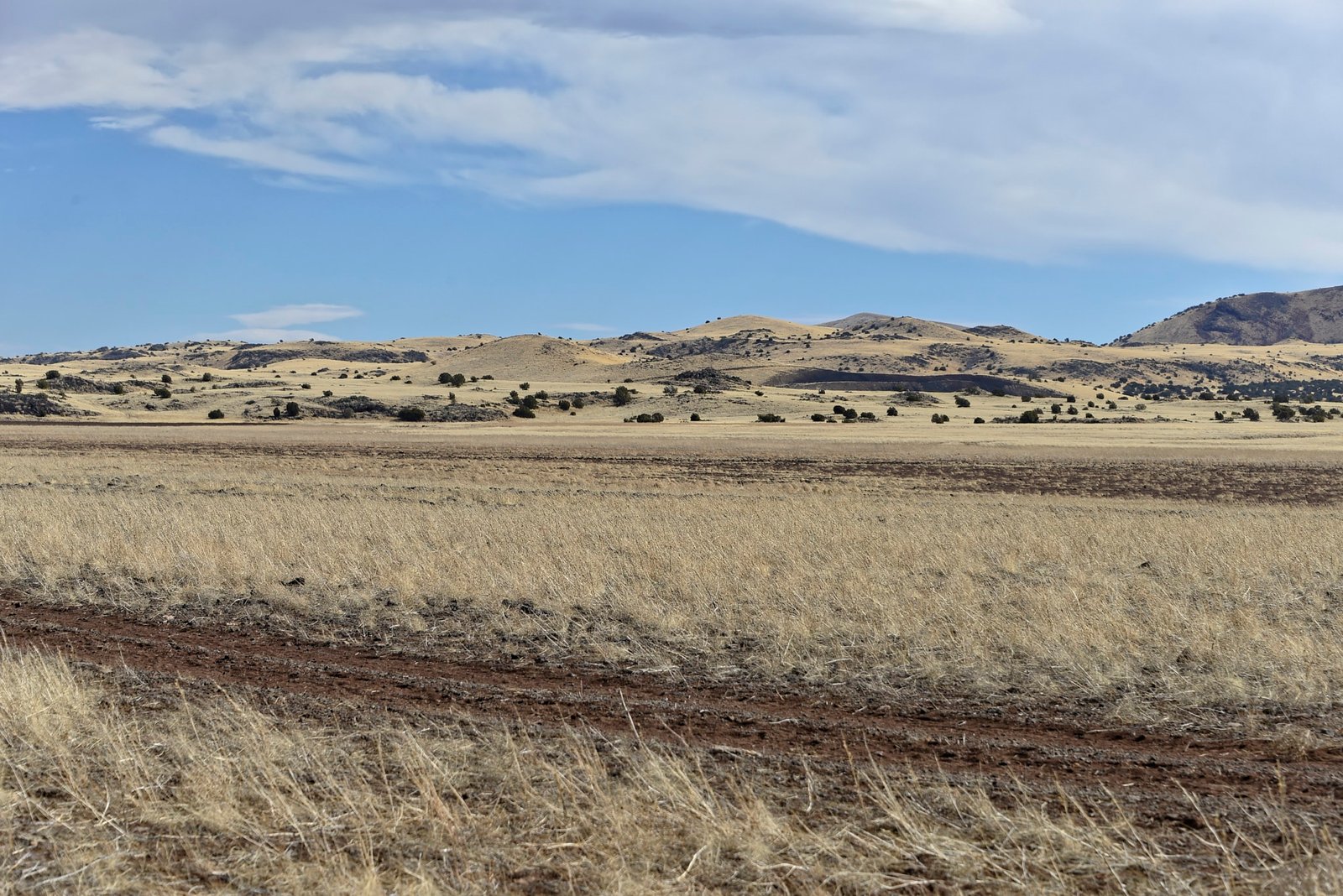 1 Acre Land for Sale in the Arizona High Desert