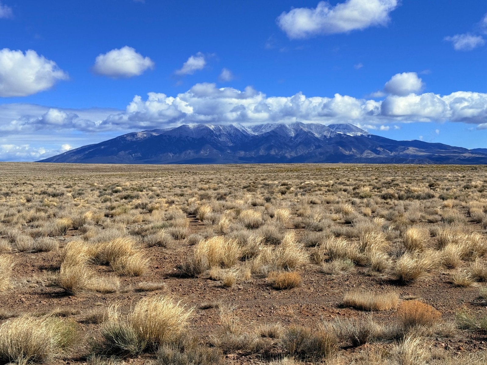 IMG_5696 5.355 Acres – Costilla County Colorado – Great Investment with a Heck of a View
