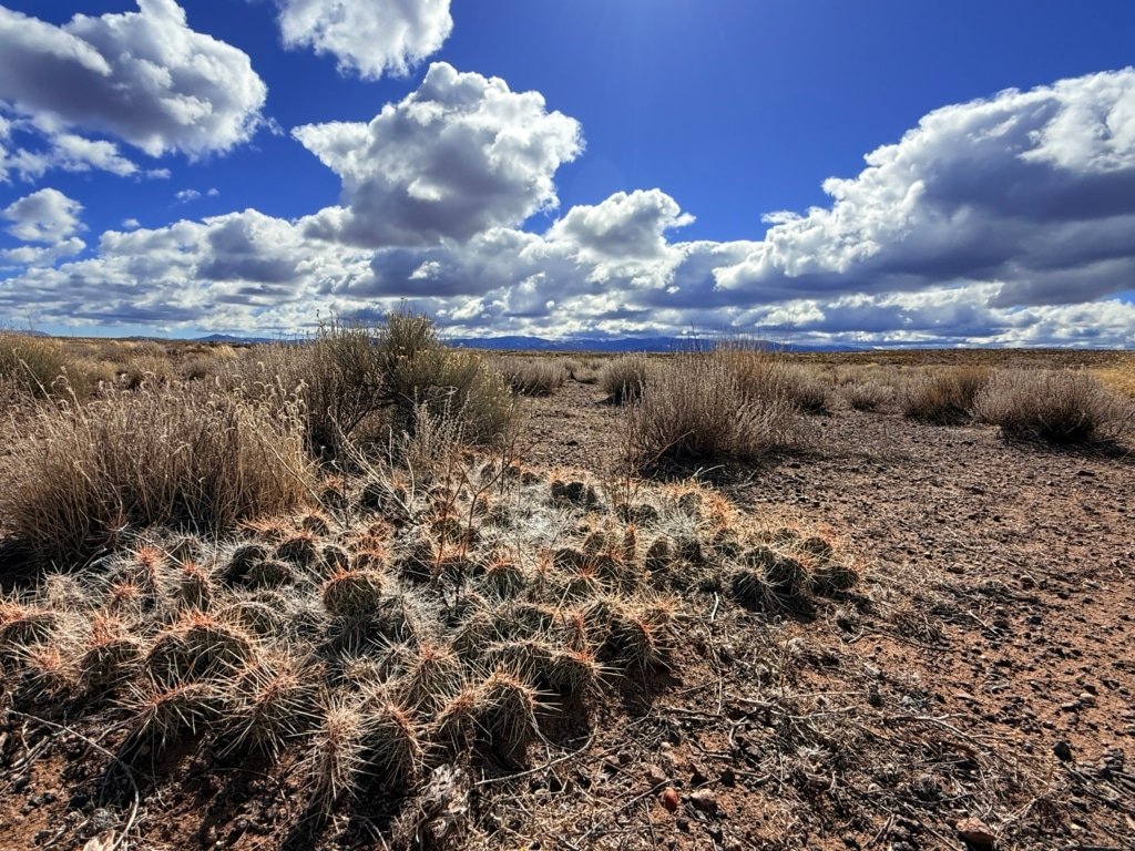 Colorado land listing: 5.355 acres in Costilla County with mountain views