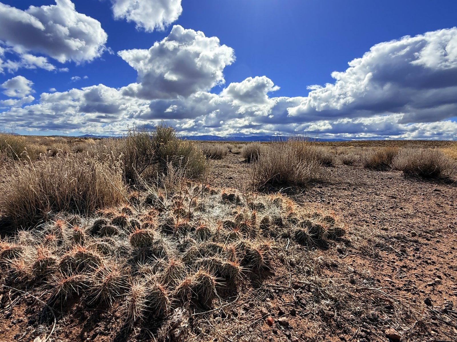 IMG_5699 5.355 Acres – Costilla County Colorado – Great Investment with a Heck of a View