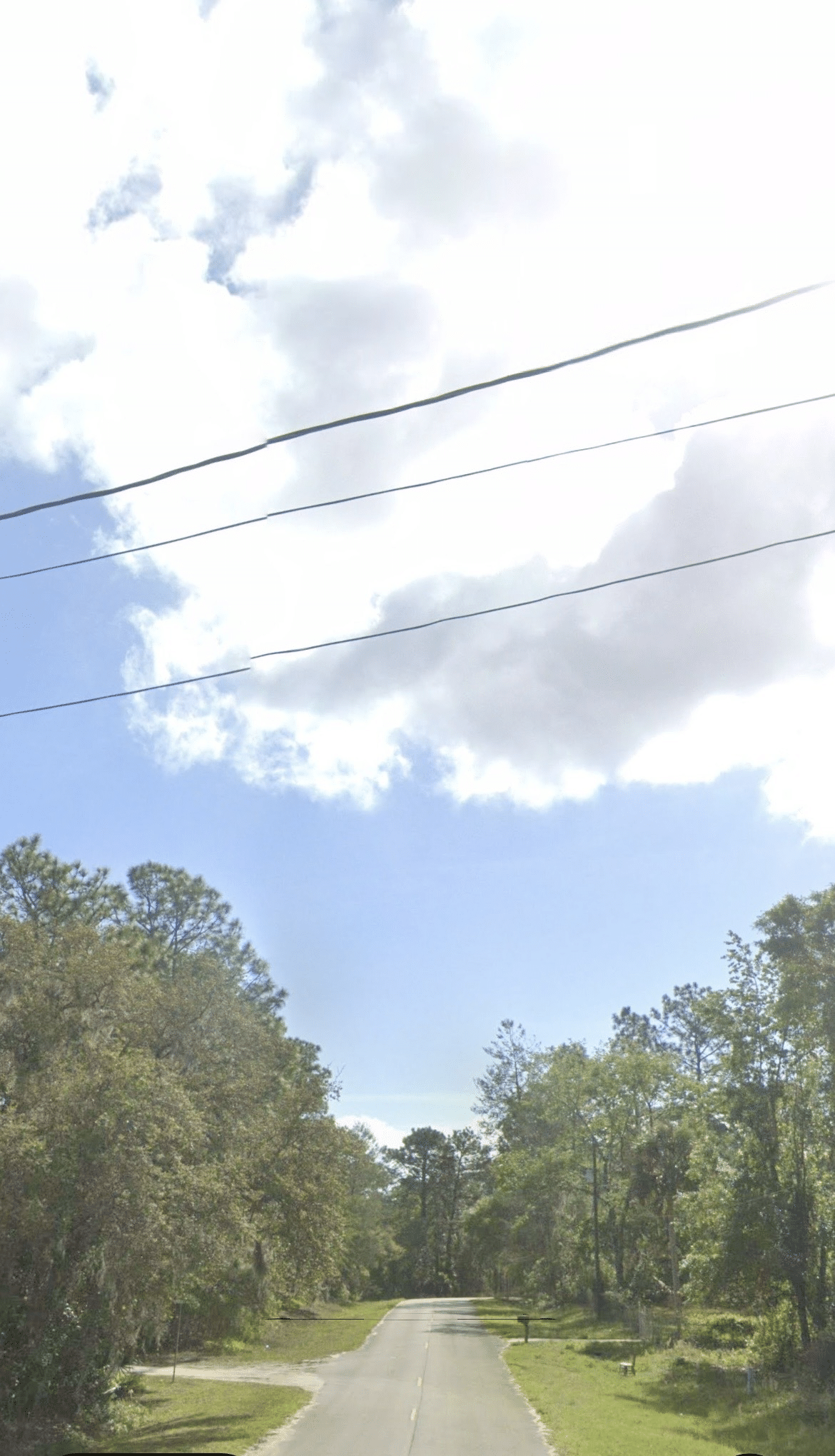 IMG_8774 Vacant Lot for Sale in Satsuma, Florida | 0.28 Acres | $7,998 CASH | All reasonable offers will be considered!