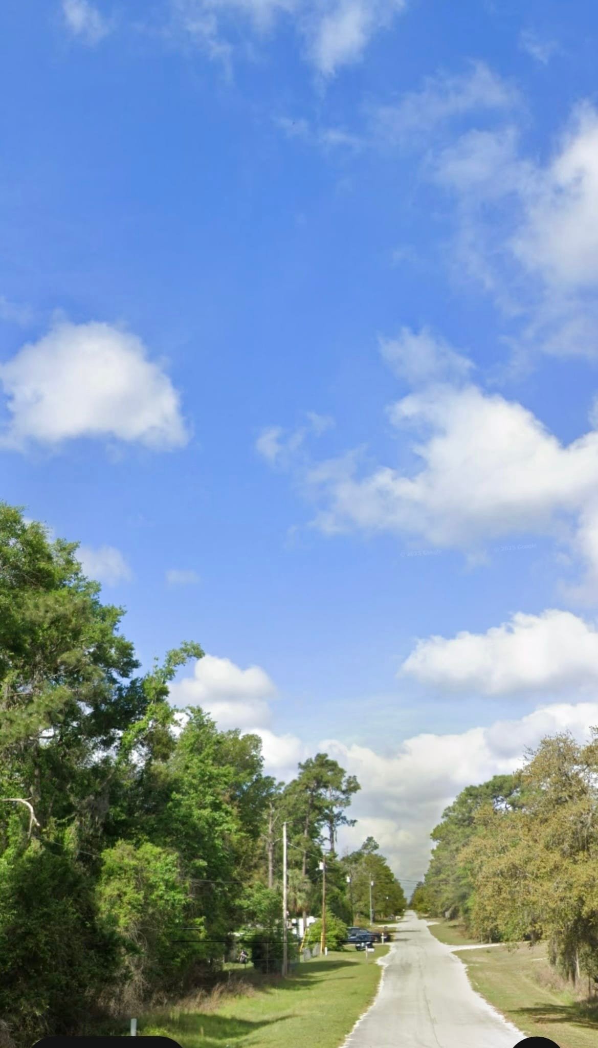 IMG_8775 Vacant Lot for Sale in Satsuma, Florida | 0.28 Acres | $7,998 CASH | All reasonable offers will be considered!