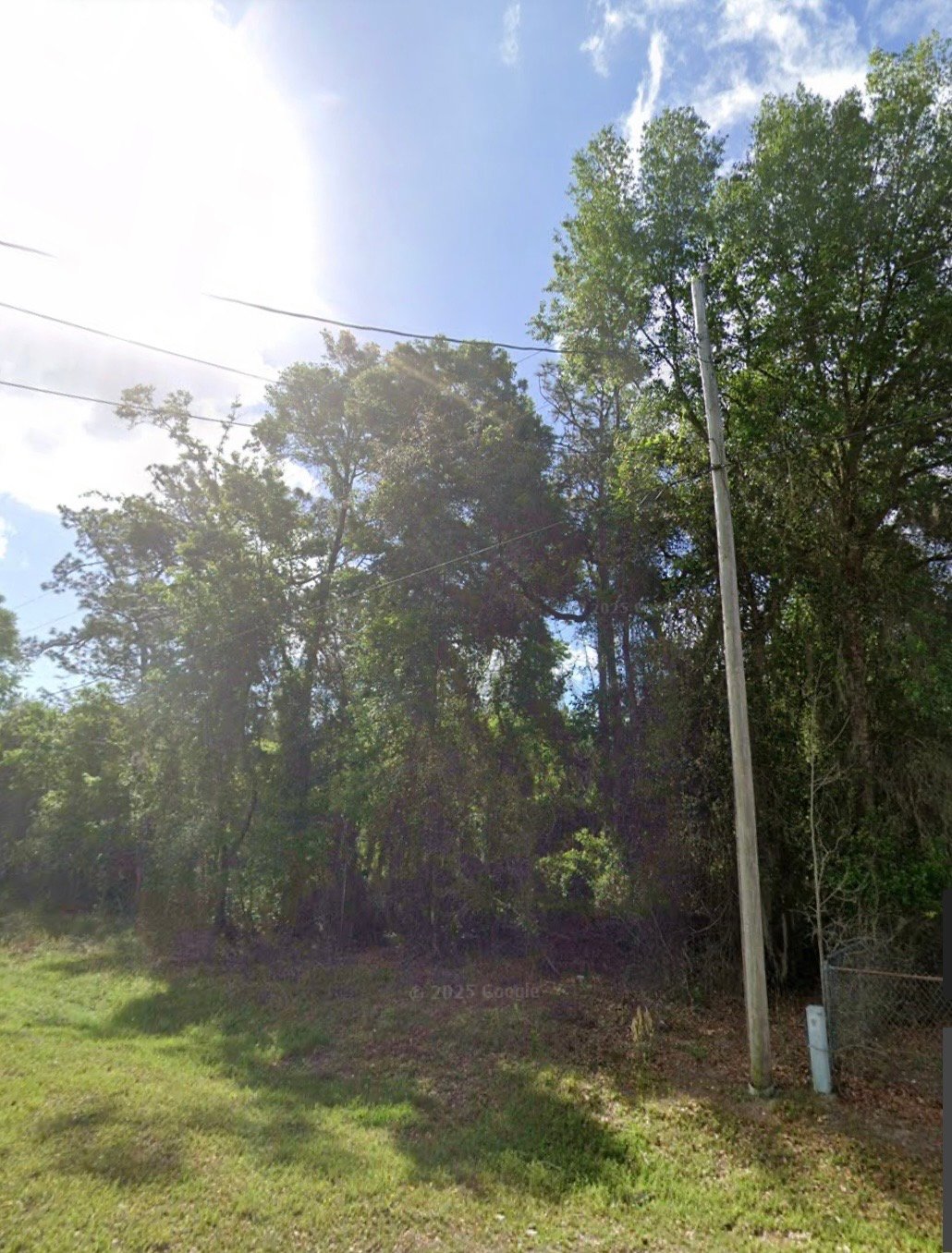 IMG_8783 Vacant Lot for Sale in Satsuma, Florida | 0.28 Acres | $7,998 CASH | All reasonable offers will be considered!