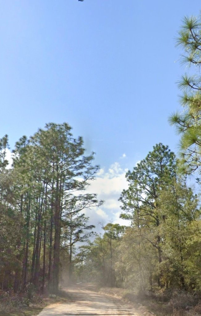 🌳 3 VACANT LOTS FOR SALE – Alaska Ave, Interlachen, FL 32148 | ASSIGNABLE CONTRACT