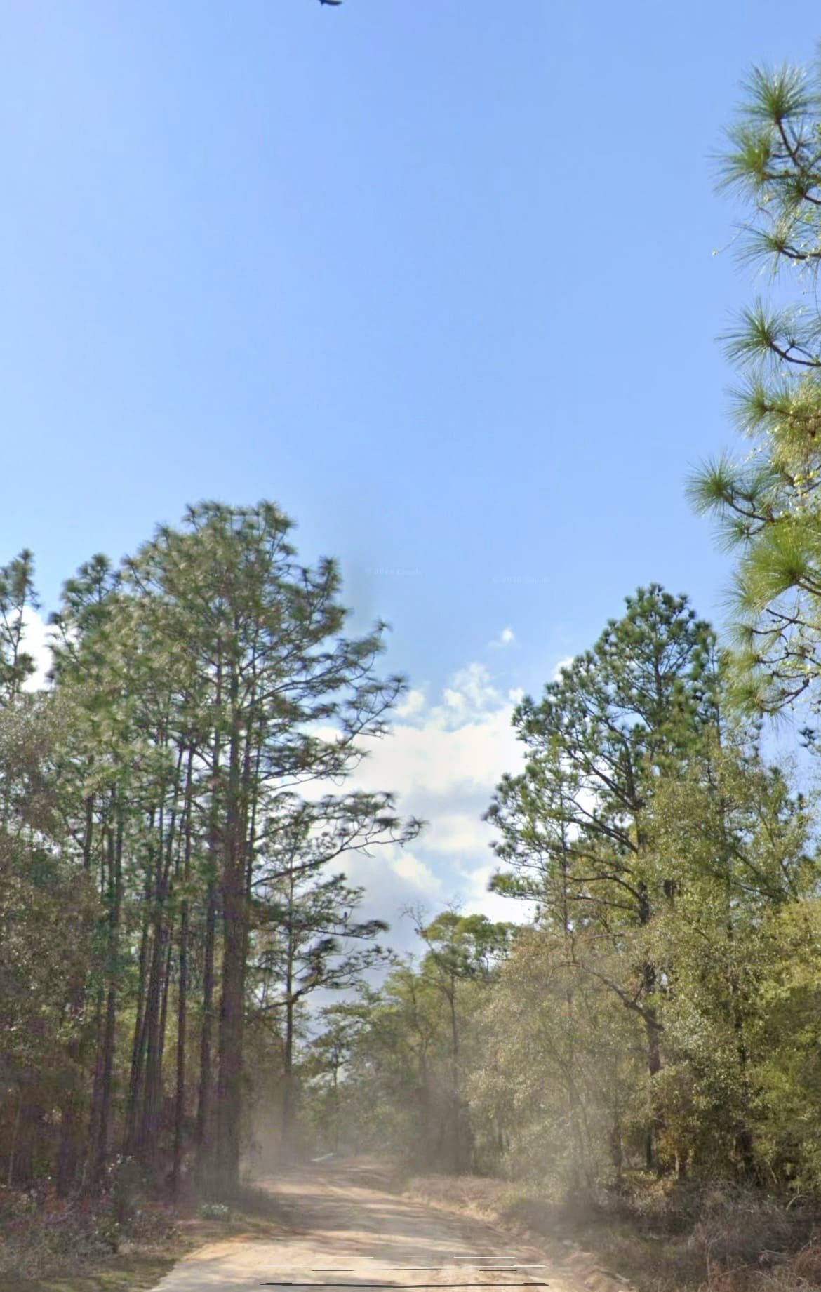 IMG_8790 š³ 3 VACANT LOTS FOR SALE ā Alaska Ave, Interlachen, FL 32148 | ASSIGNABLE CONTRACT