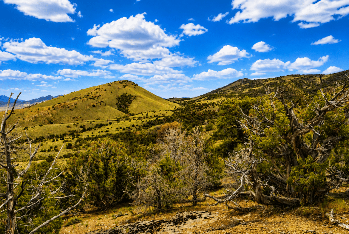 $117/Month to Own! Camp Now. Build Later. 2.27 Acres Near Murdock Mountain, NV