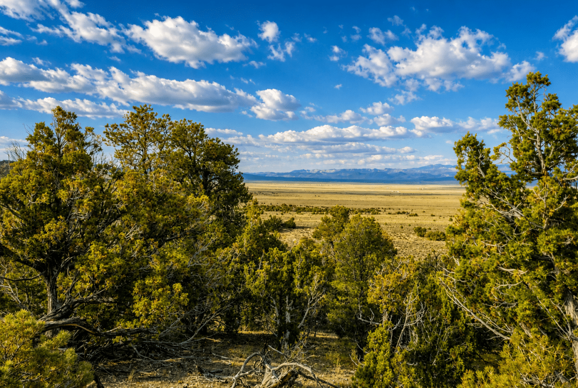 $117/Month to Own! Camp Now. Build Later. 2.27 Acres Near Murdock Mountain, NV
