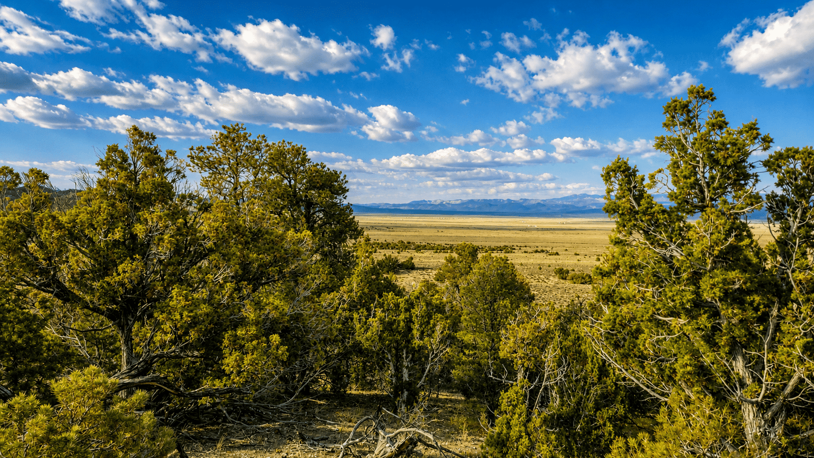 $117/Month to Own! Camp Now. Build Later. 2.27 Acres Near Murdock Mountain, NV