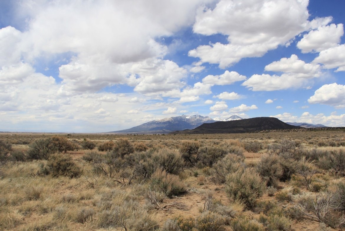 Build Your Cabin Here on 5 Acres in Fort Garland, CO