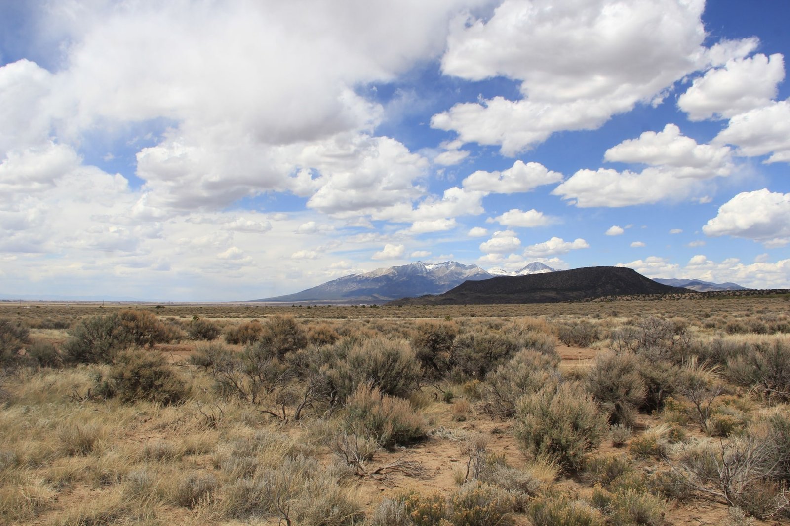 Build Your Cabin Here on 5 Acres in Fort Garland, CO