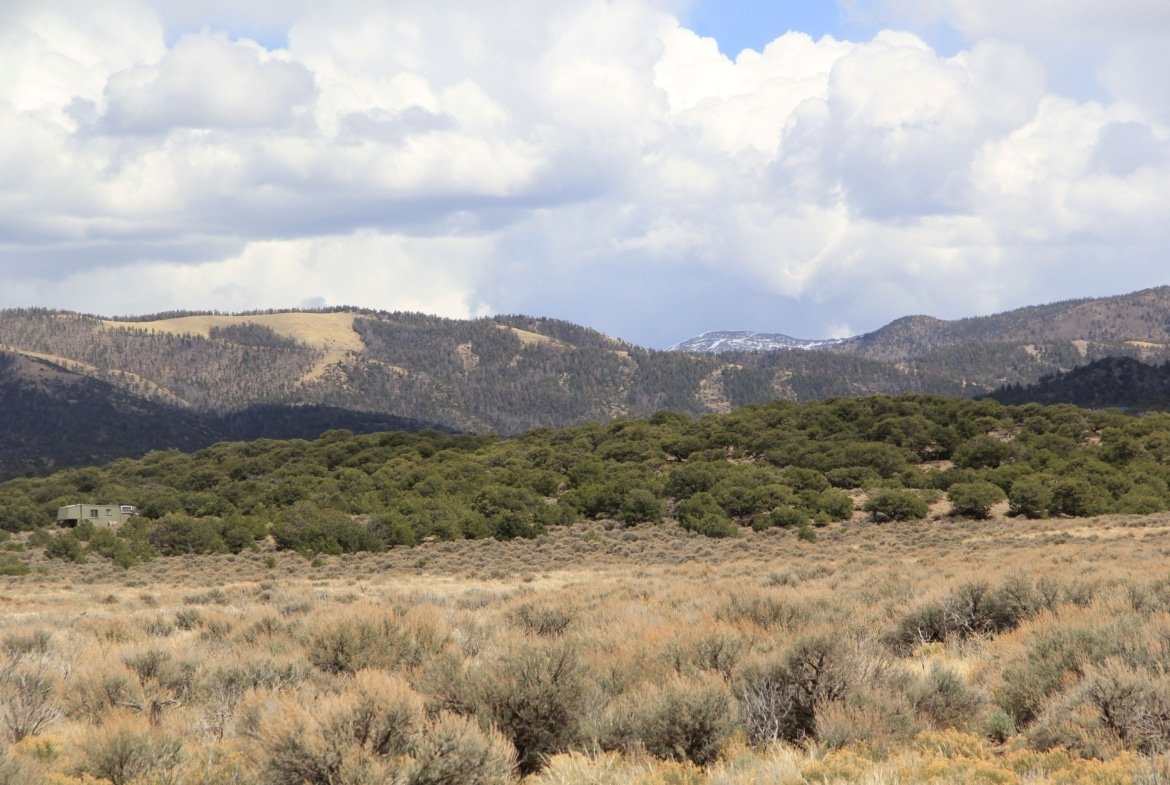 Build Your Cabin Here on 5 Acres in Fort Garland, CO