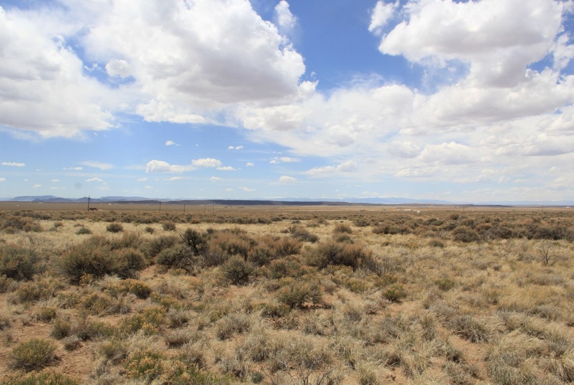 Build Your Cabin Here on 5 Acres in Fort Garland, CO