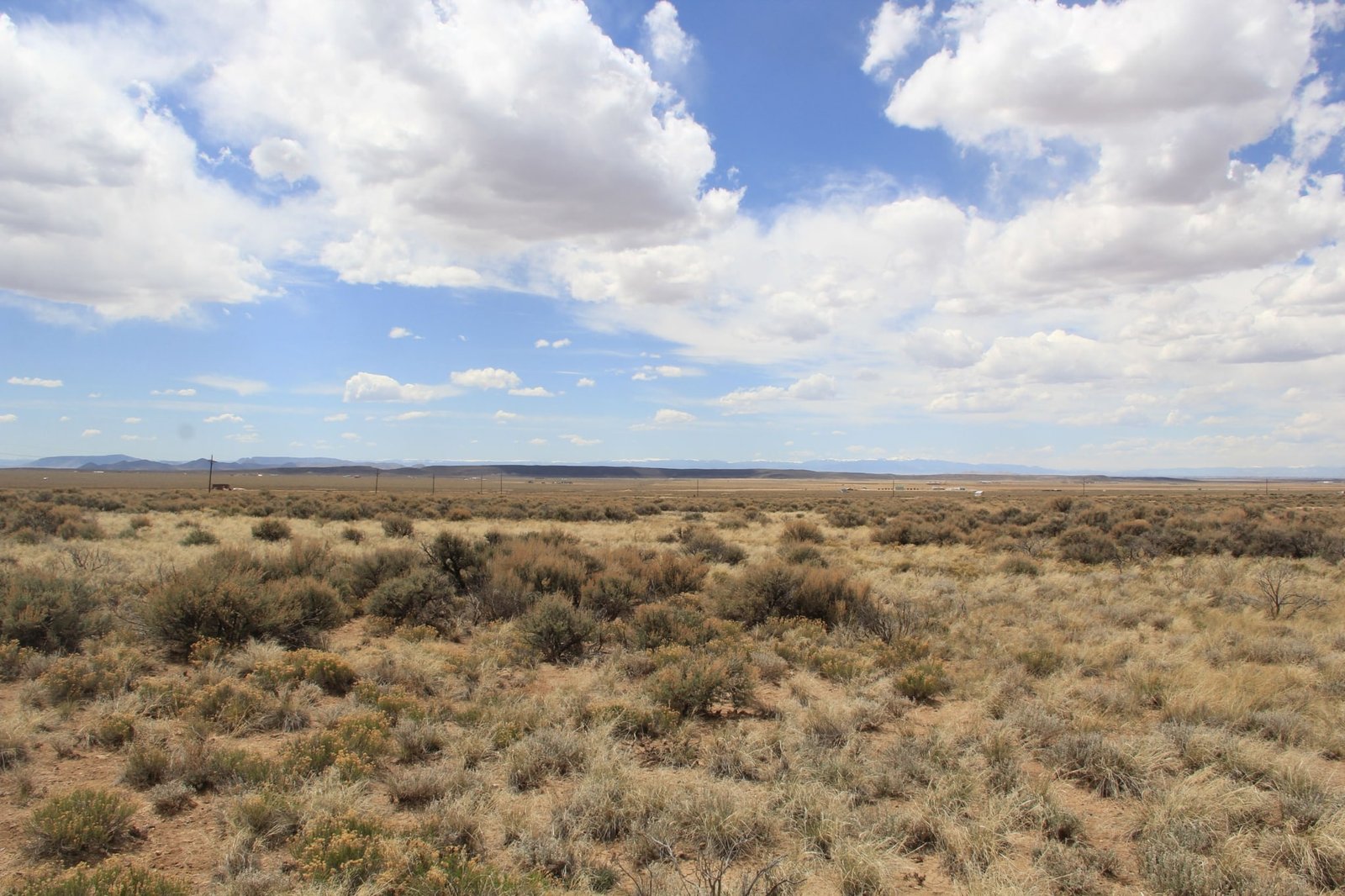 Build Your Cabin Here on 5 Acres in Fort Garland, CO