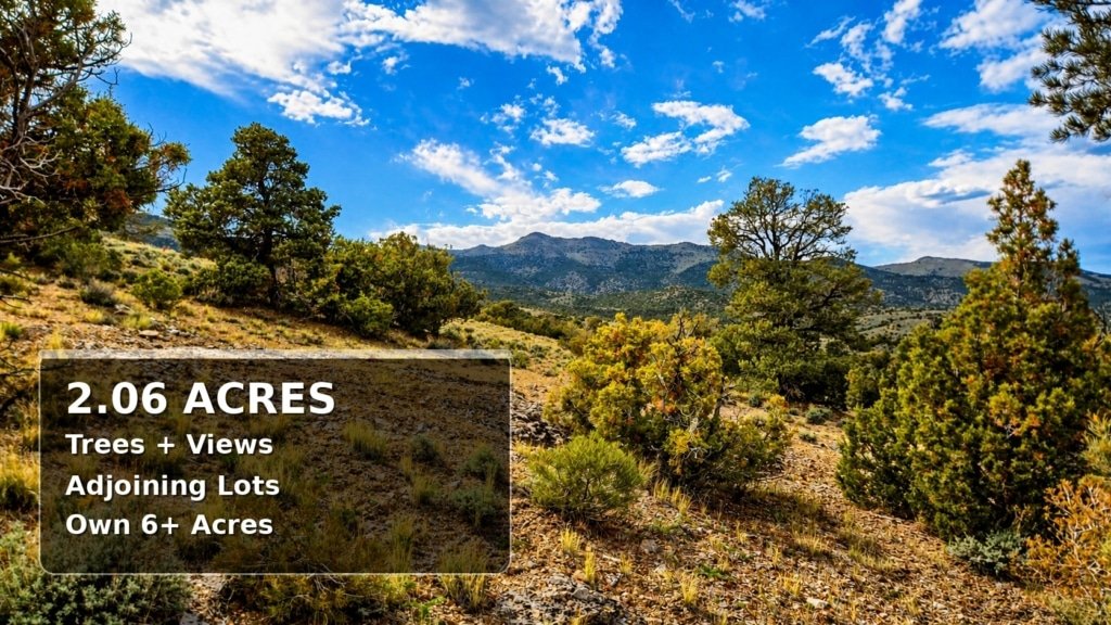 Use It Now • Expand Later • 2 Acres Near Murdock Mountain NV