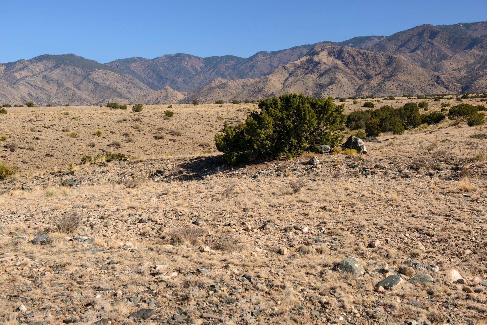 5 Acres of Land for Sale in Valencia County, New Mexico Near Manzano Peaks