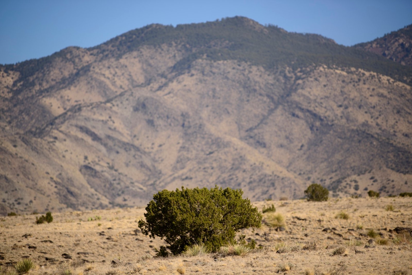 5 Acres of Land for Sale in Valencia County, New Mexico Near Manzano Peaks