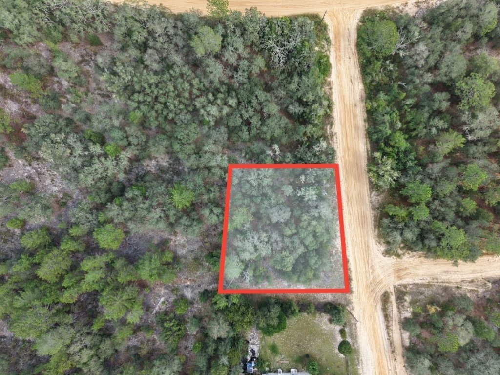 Your Florida Land for Less Than a Car Payment? 0.29 Acres for $249/Mo