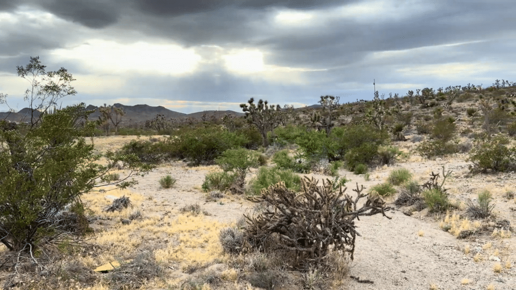Ride OHV With Mountain Views | 1.07 Acre Land For Sale