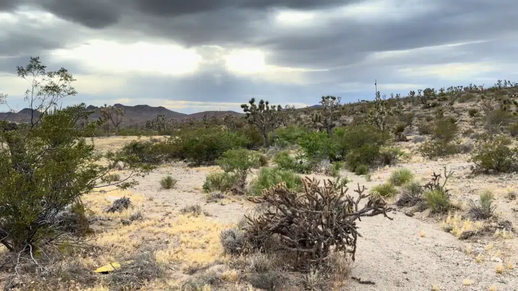 Ride OHV With Mountain Views | 1.07 Acre Land For Sale