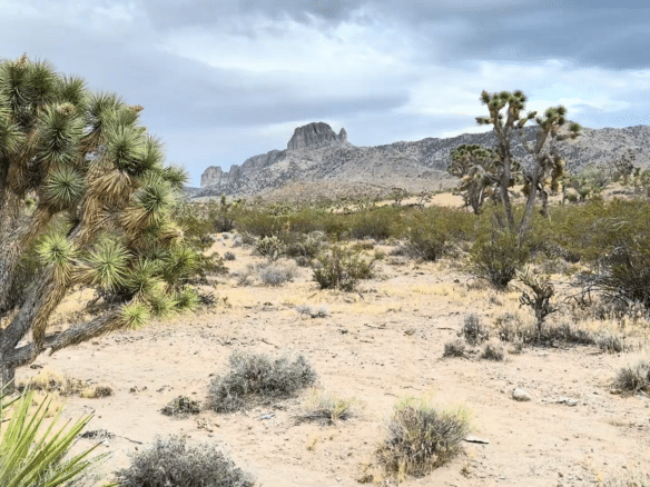 1.7 Acres of Land for Sale in Dolan Springs, Arizona Where The scenery here changes throughout the day. Golden sunrises. Long shadows across the mountains. Quiet evenings under star-filled skies.