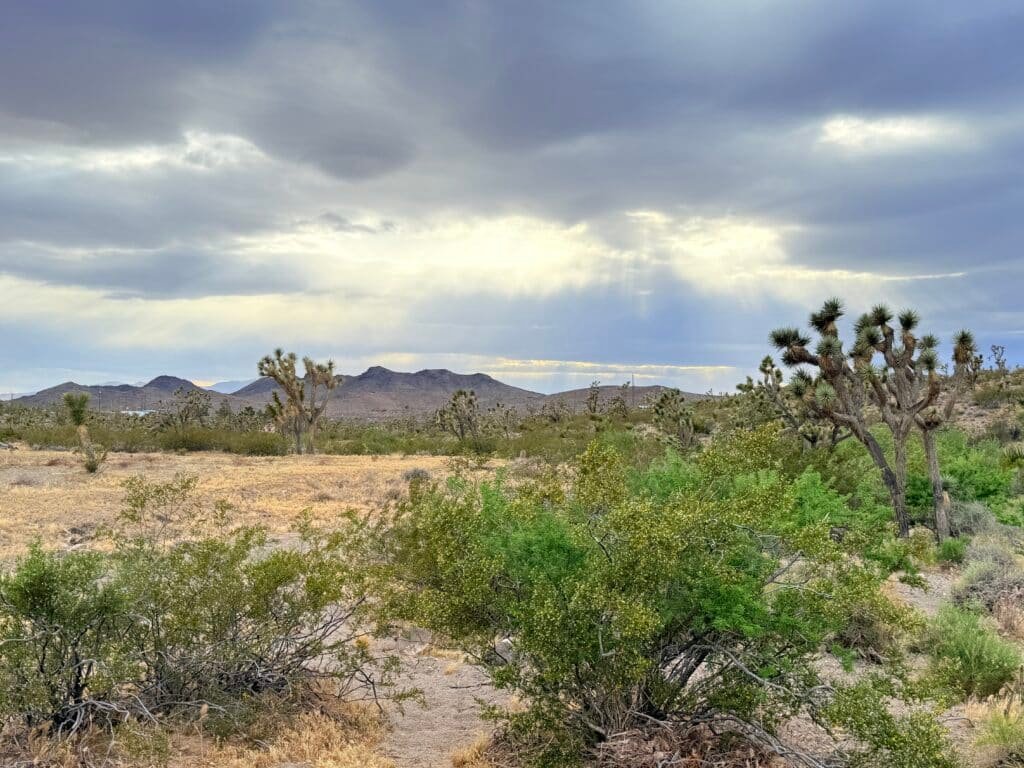 Private Boondocking & ATV Basecamp in AZ For $195/mo!
