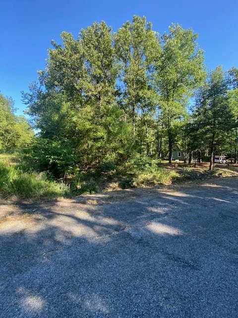 1.31 Acre Triple Lot in Horseshoe Bend, Arkansas for Sale : Lake Community