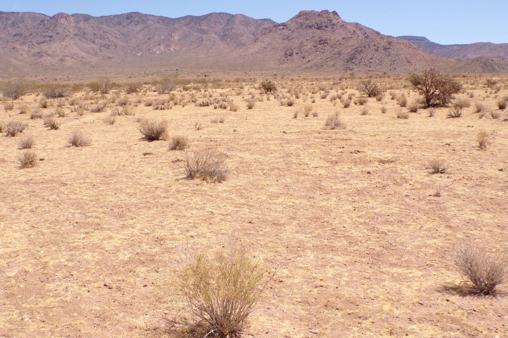 Flat terrain lot in Arizona available for $9,999 with owner financing