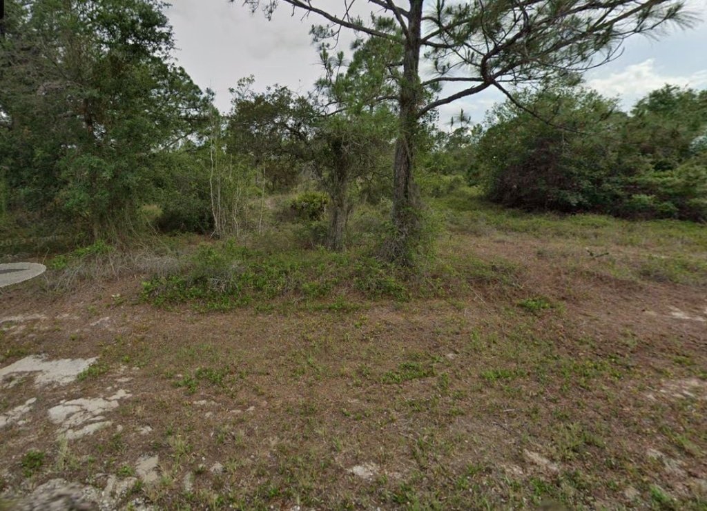 0.23 acre flat lot in Highlands County Florida, owner-financed at $349 monthly - photo 11